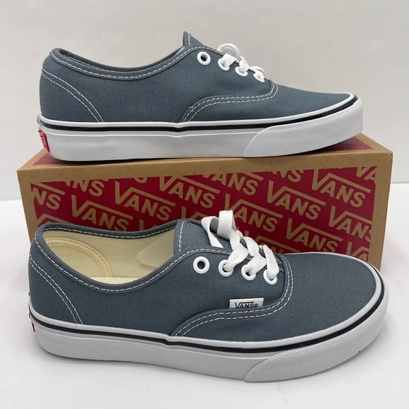 Vans Men’s Authentic Color Theory Stormy WeatherVN000EGARV2 Sneakers